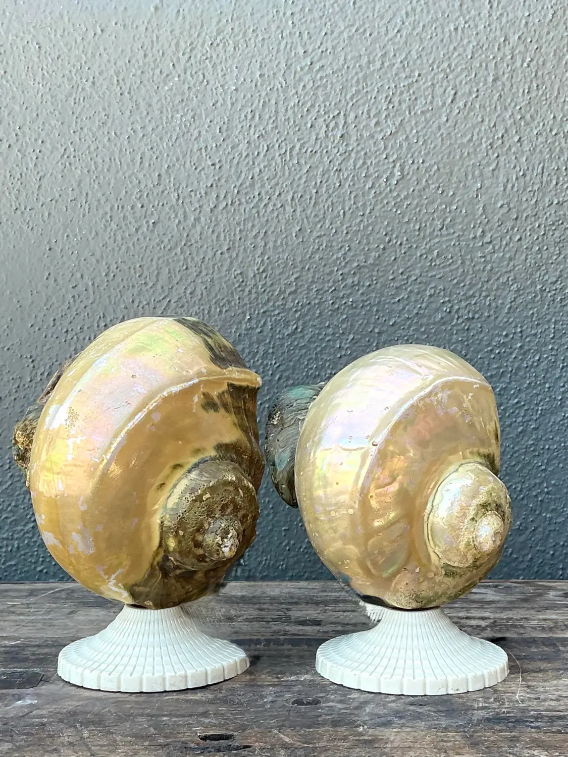 Vintage Deco Nautilus Shell Lamps - A Pair - Side view