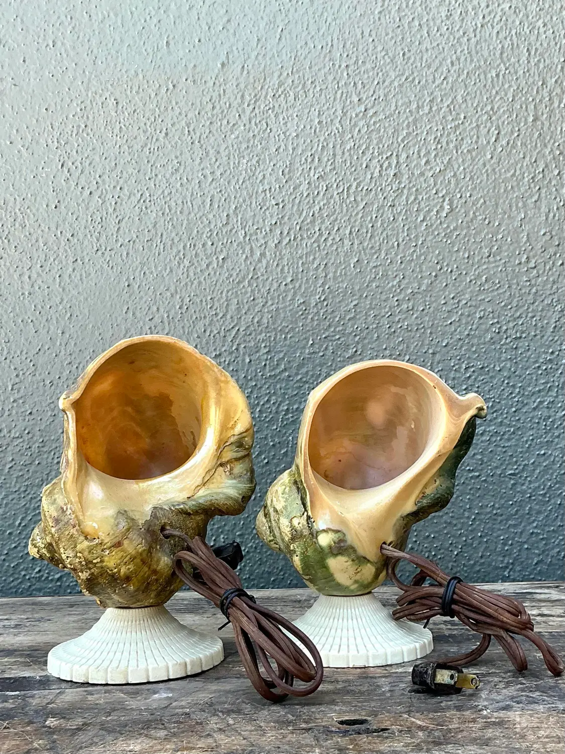 Vintage Deco Nautilus Shell Lamps - A Pair - Back view