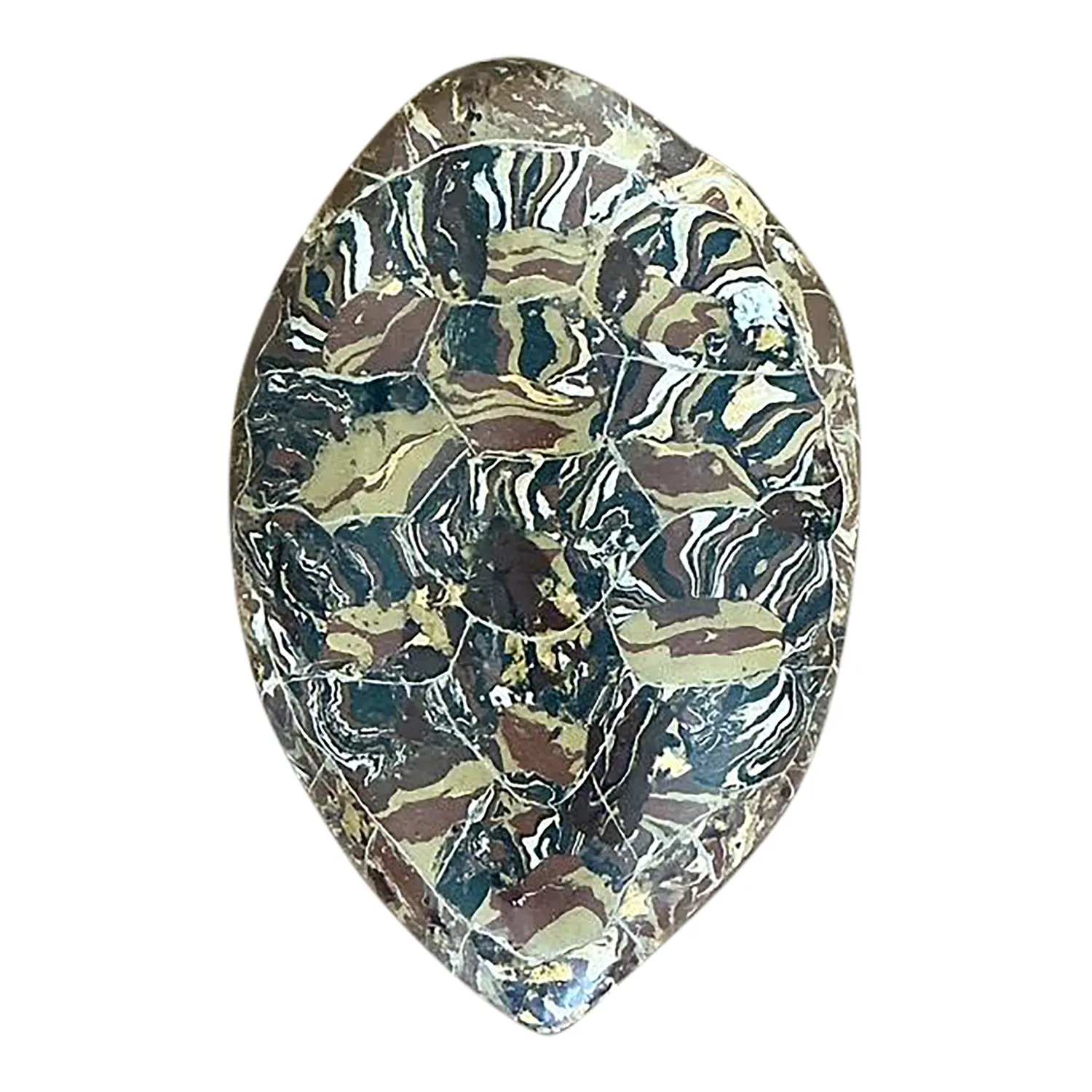 Vintage Italian Scagliola Artisan Made Pigmented Plaster Turtle Shell