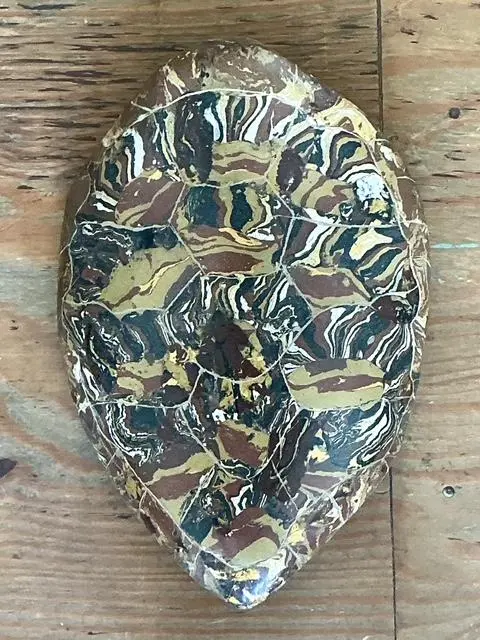 Vintage Italian Scagliola Artisan Made Pigmented Plaster Turtle Shell - Detail view