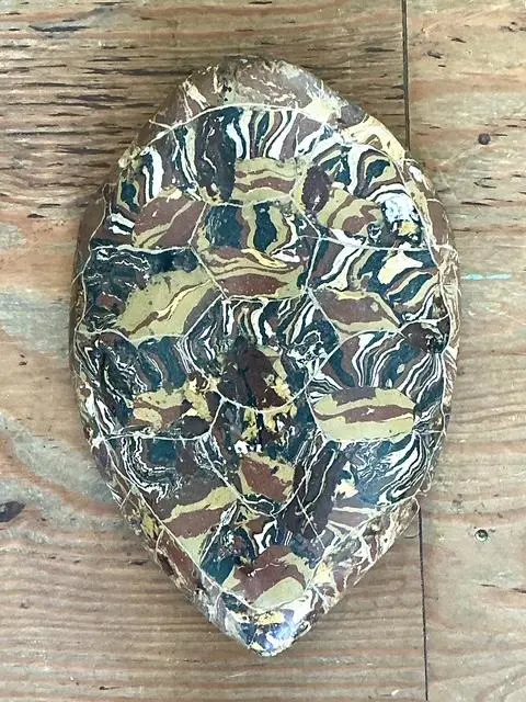 Vintage Italian Scagliola Artisan Made Pigmented Plaster Turtle Shell - Back view