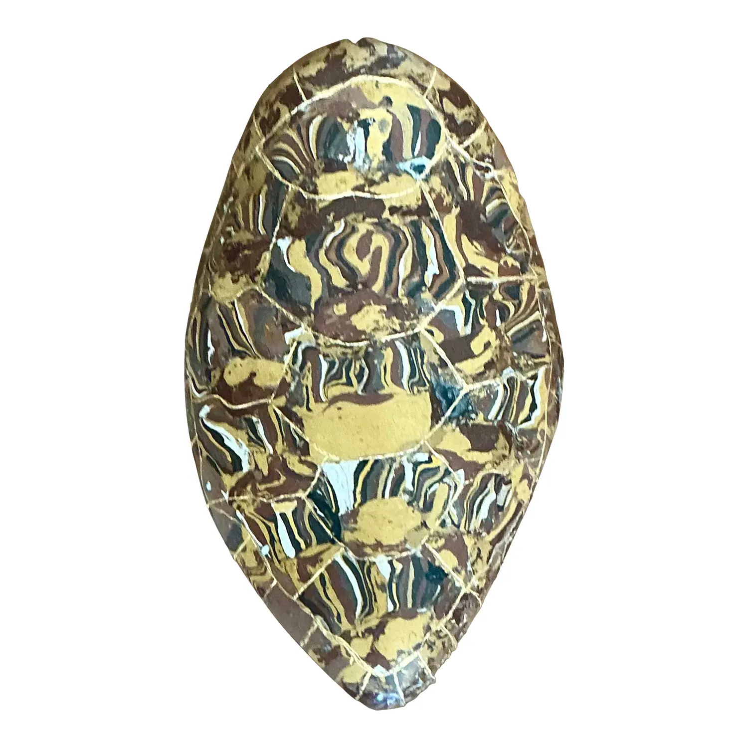Vintage Italian Scagliola Gilt Tipped Pigmented Plaster Turtle Shell