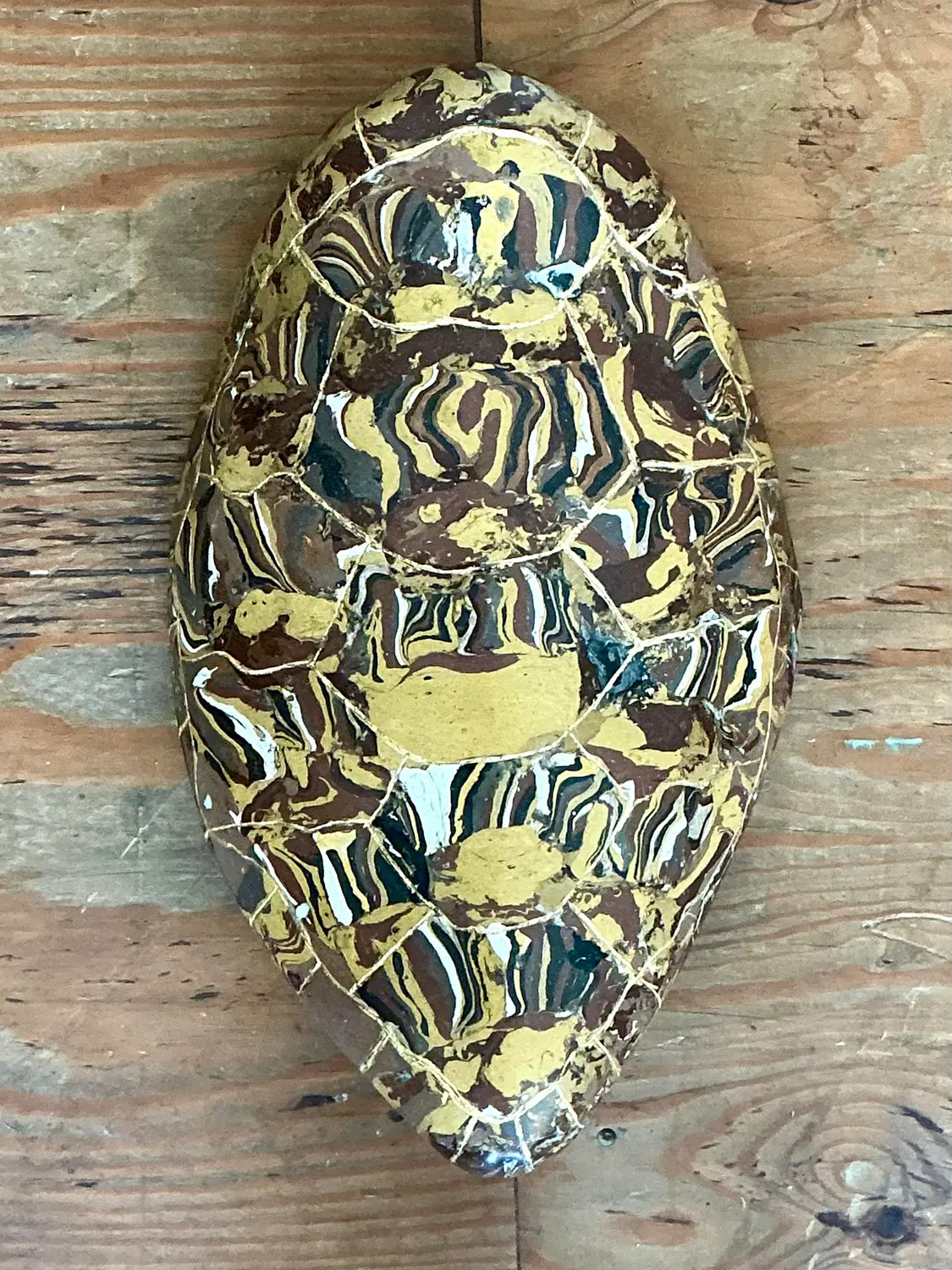 Vintage Italian Scagliola Gilt Tipped Pigmented Plaster Turtle Shell - Detail view