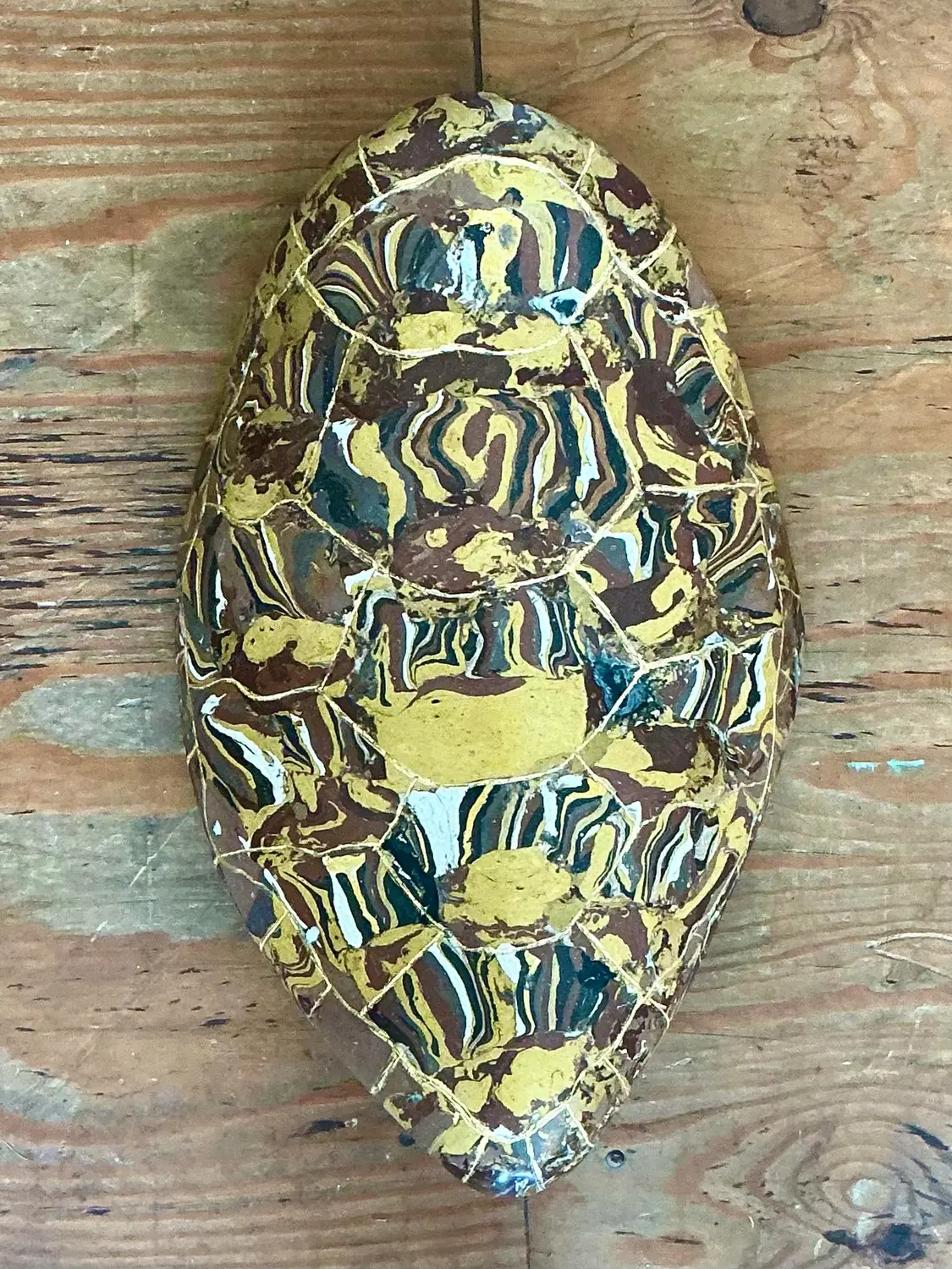 Vintage Italian Scagliola Gilt Tipped Pigmented Plaster Turtle Shell - Back view