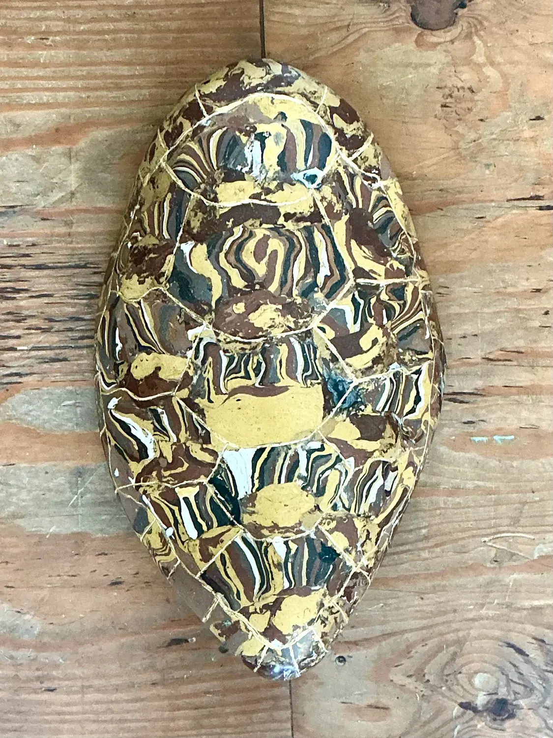 Vintage Italian Scagliola Gilt Tipped Pigmented Plaster Turtle Shell - Top view