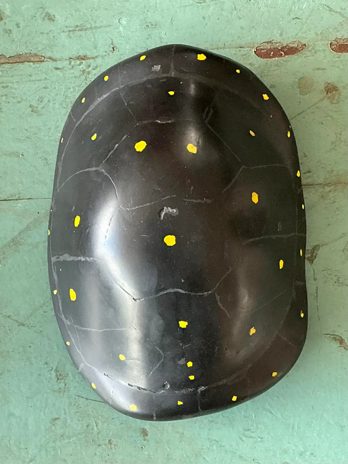 Vintage Italian Scagliola Pigmented Plaster Turtle Shell - Plaster, 5.75W x 7.75H