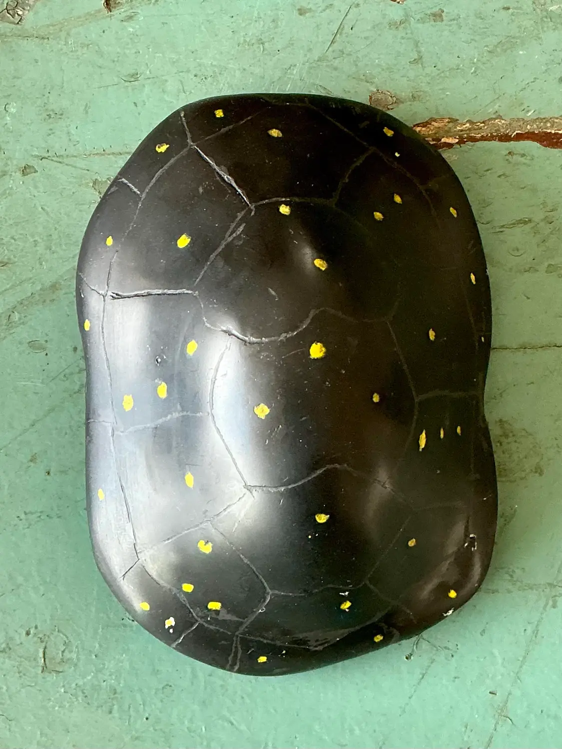 Vintage Italian Scagliola Pigmented Plaster Turtle Shell - Plaster, 5.75W x 8.75H