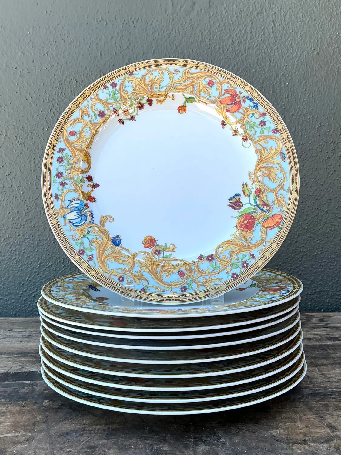 Vintage “Les Jardin De Versace” for Rosenthal Dinner Plates Z- Set of 10