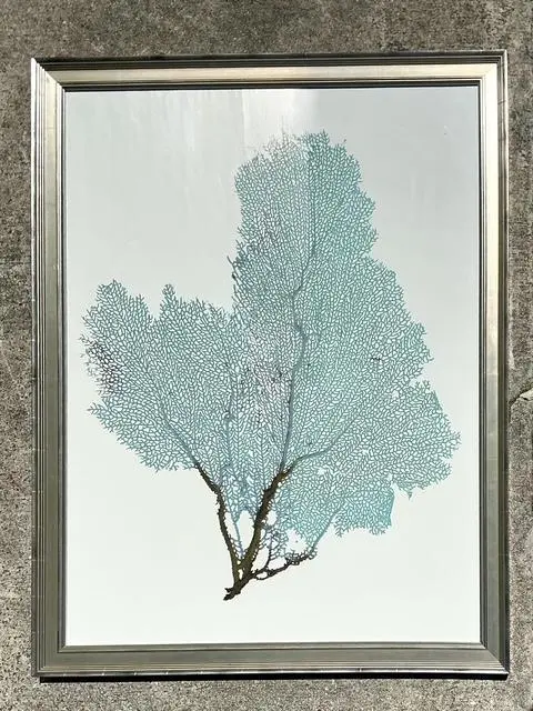 Vintage Original Coral Fan Print