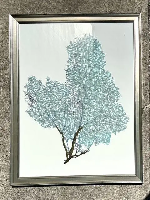 Vintage Original Coral Fan Print - Detail view