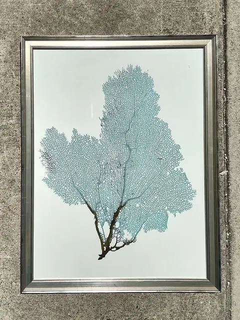Vintage Original Coral Fan Print - Side view