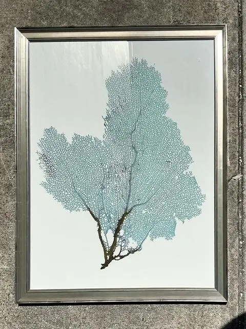 Vintage Original Coral Fan Print - Top view