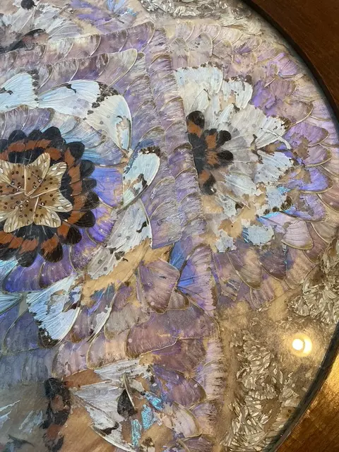 Vintage Turned Wood Butterly Wing Table - Top view