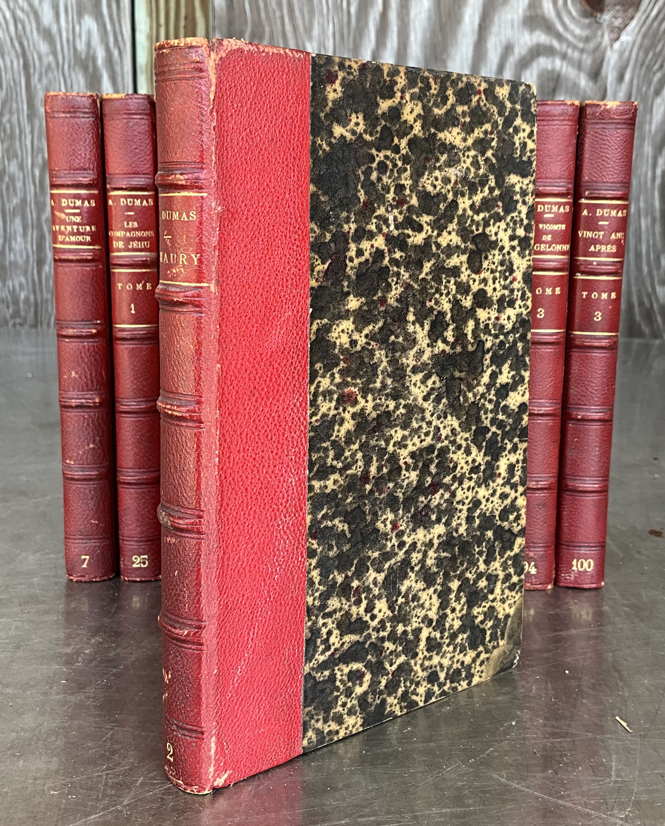 Works of Alexandre Dumas- Set of 11 - Side view
