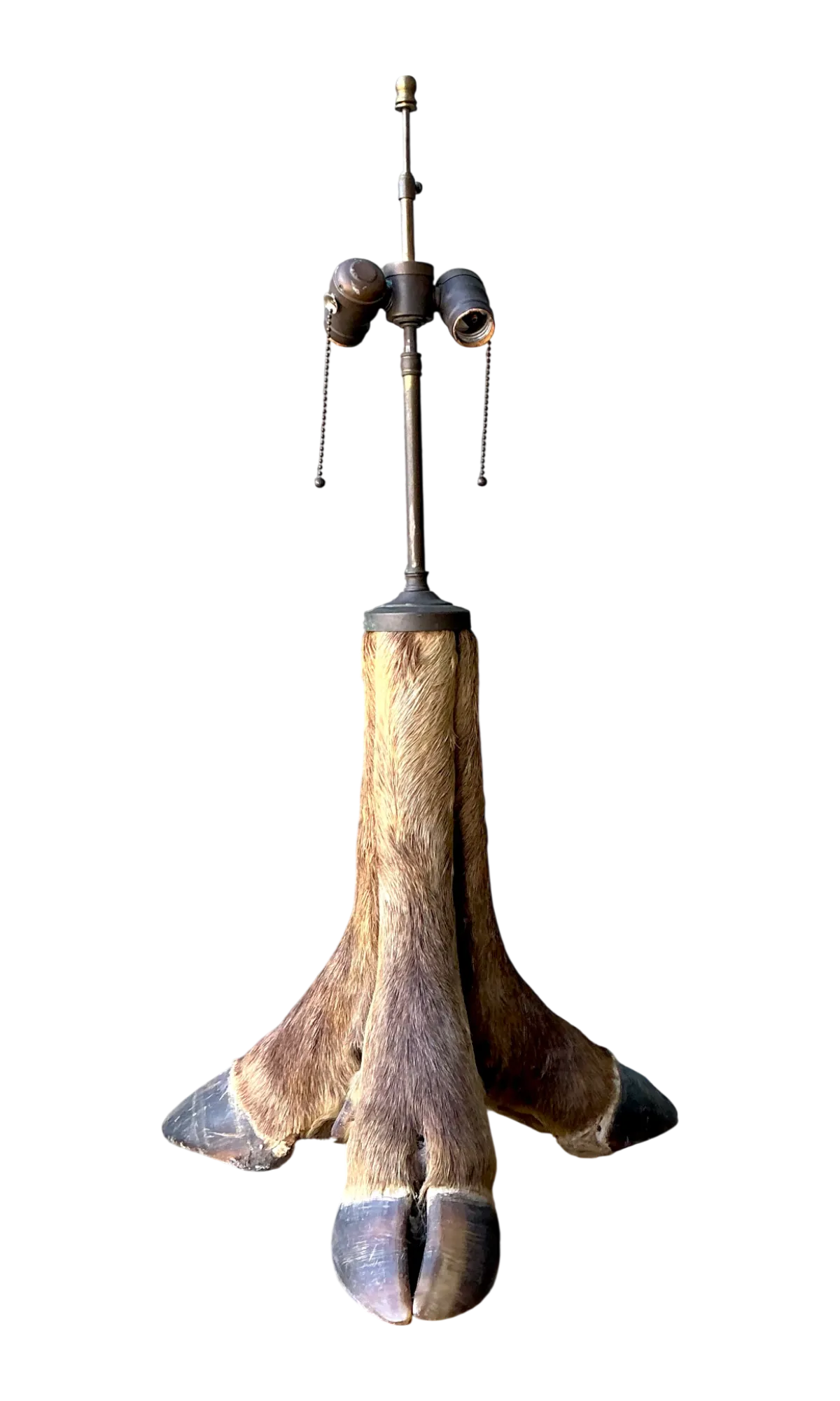 Vintage Taxidermy Hoof Table Lamp - Detail view