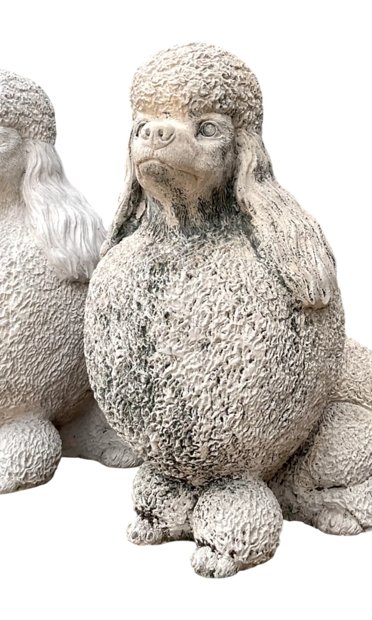 Vintage Cement Poodle Sculptures - A Pair - Detail view
