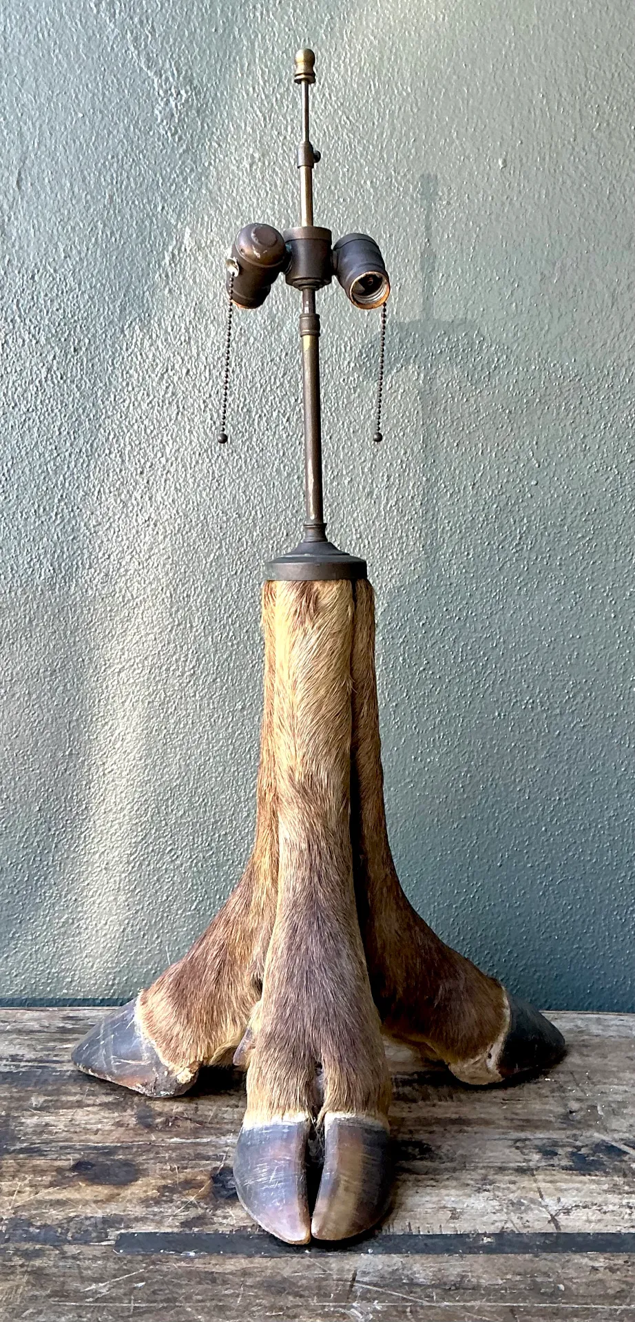 Vintage Taxidermy Hoof Table Lamp - Interior view