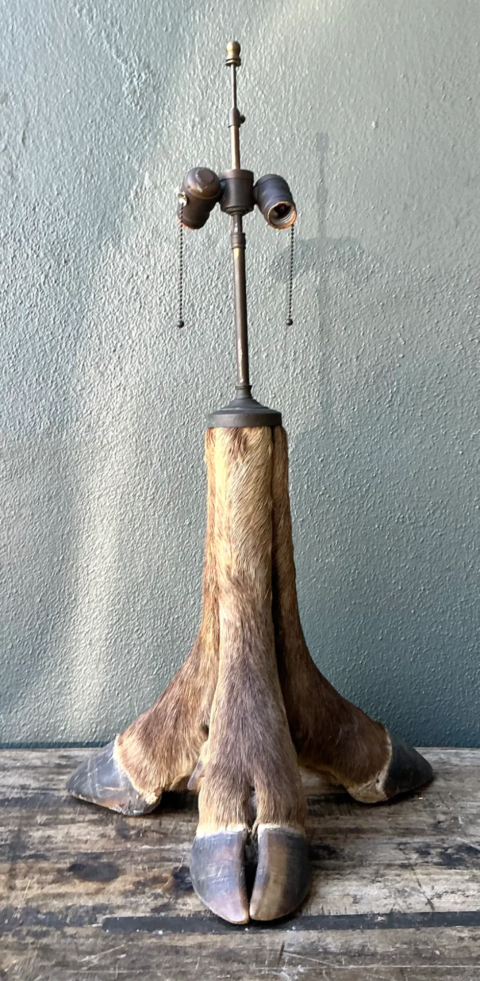 Vintage Taxidermy Hoof Table Lamp - Side view