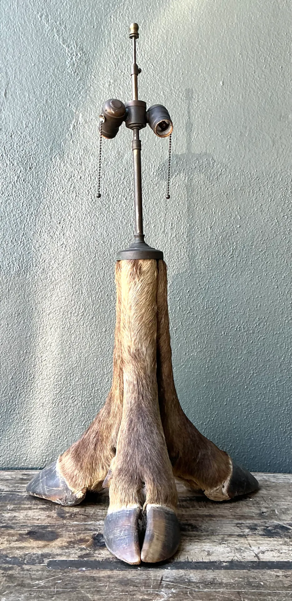 Vintage Taxidermy Hoof Table Lamp - Close-up view