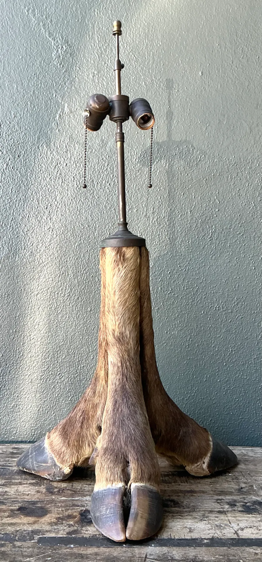 Vintage Taxidermy Hoof Table Lamp - Top view