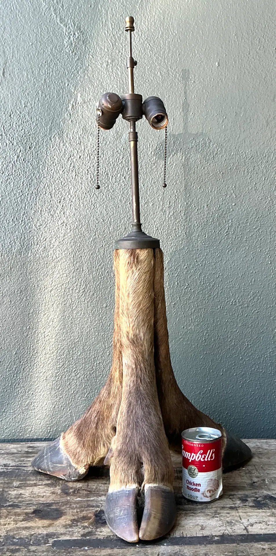 Vintage Taxidermy Hoof Table Lamp