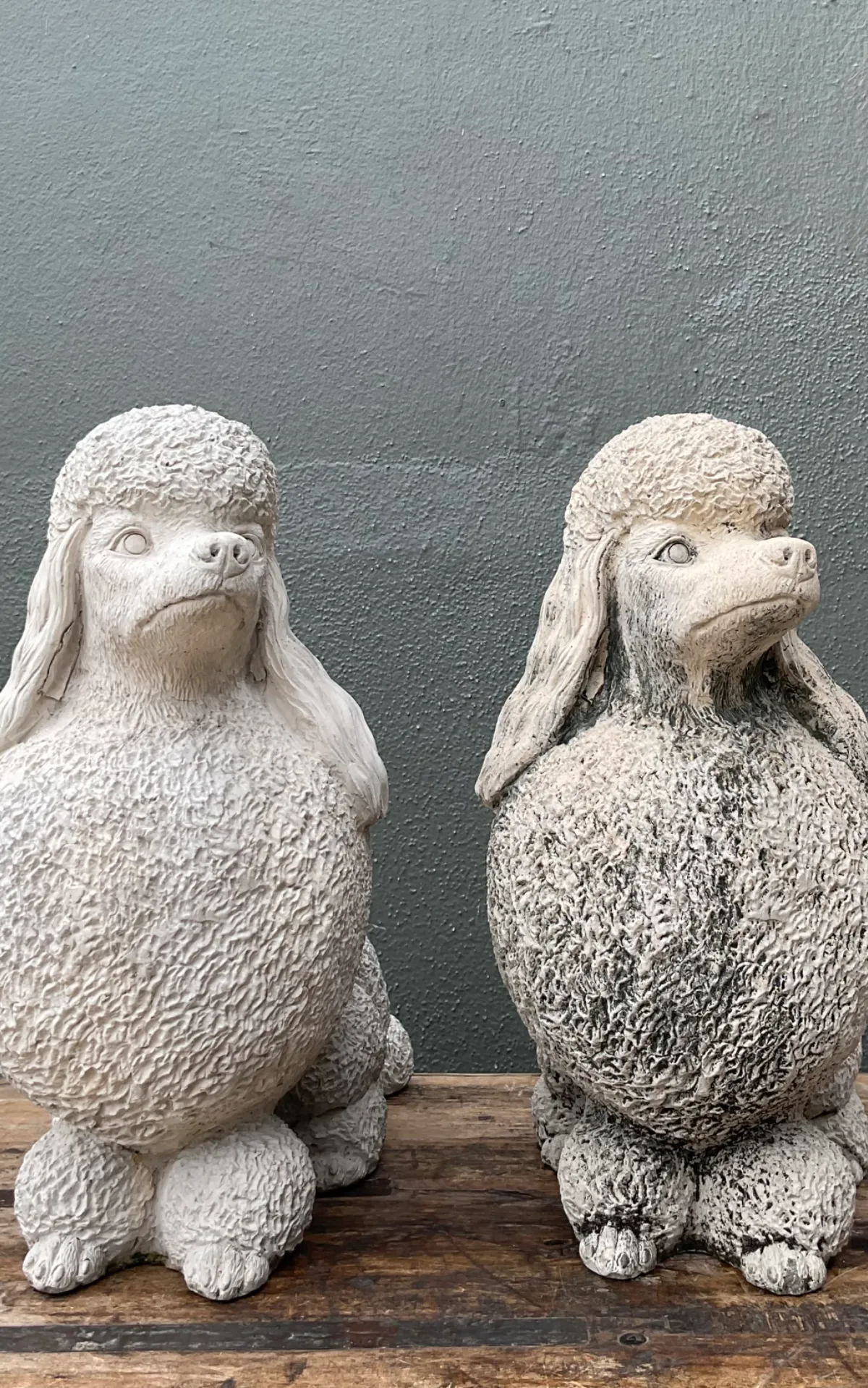 Vintage Cement Poodle Sculptures - A Pair - Interior view