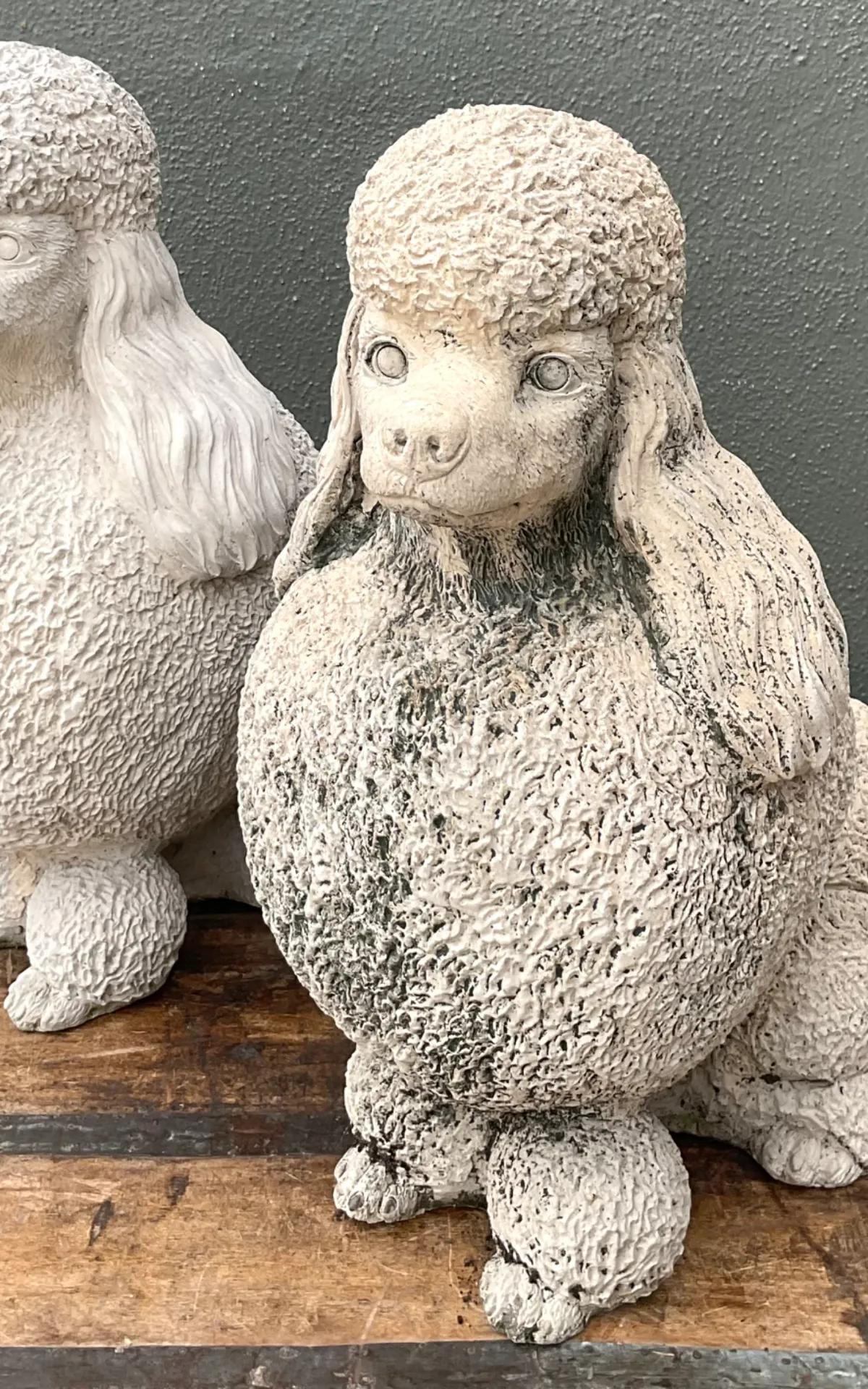 Vintage Cement Poodle Sculptures - A Pair - Close-up view